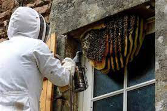 Automatic Stretch Wrapping Machine Manufacturers, Suppliers, Exporters in Mumbai India